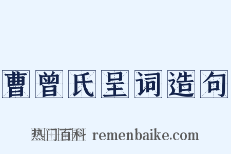 曹曾氏呈词造句是什么意思的图片
